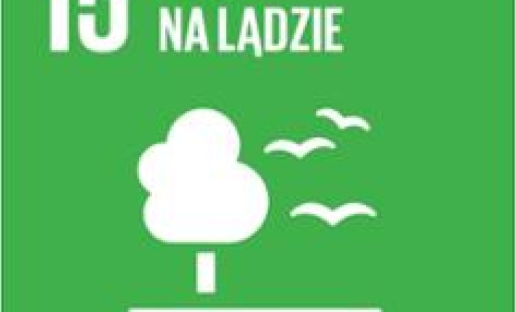 Cel 15 – Życie na lądzie