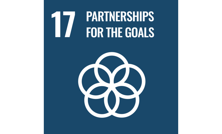 Goal 17 - Partnerships for the Goals