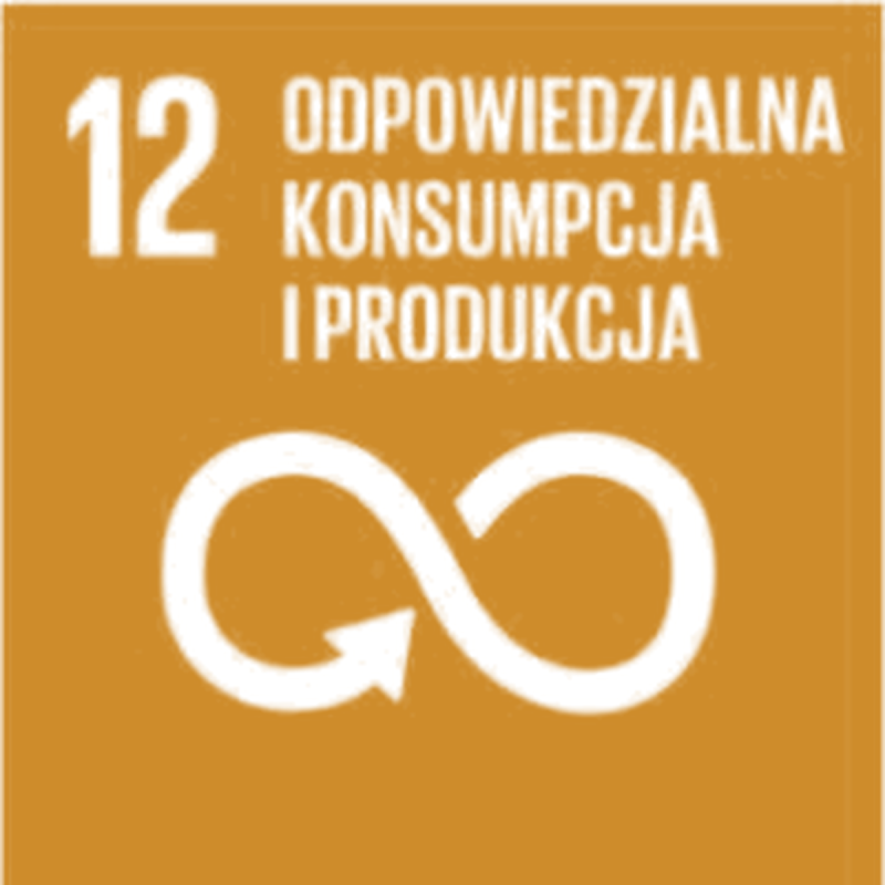 Odpowiedzialna konsumpcja i produkcja